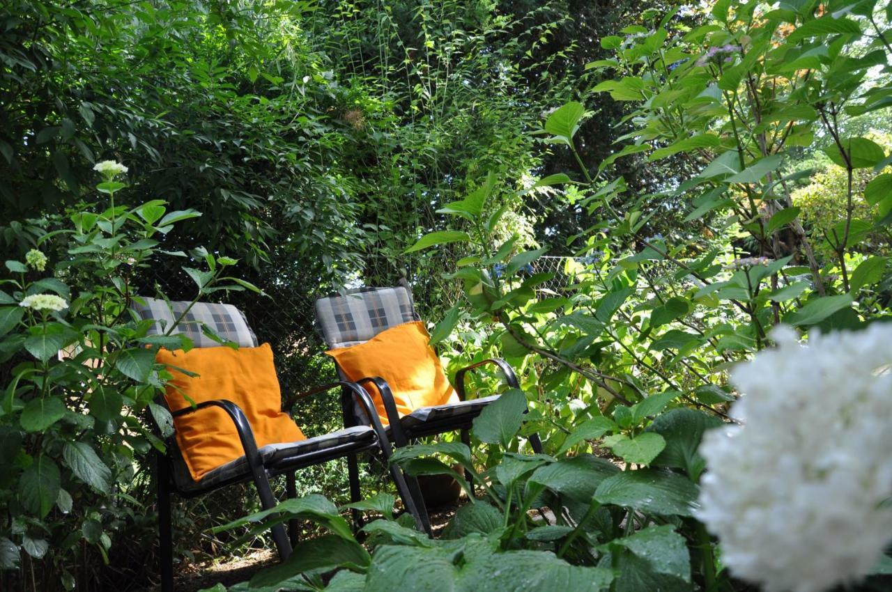 Obernhain Ferienwohnung Am Waldrand מראה חיצוני תמונה